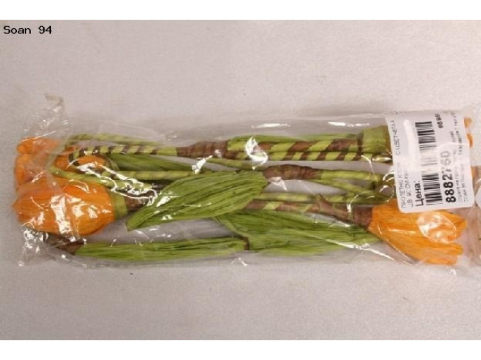 ПРОЛЕТНО КЛОНЧЕ С ЦВЕТЧЕТА 4 ЦВ. 90 СМ 490645