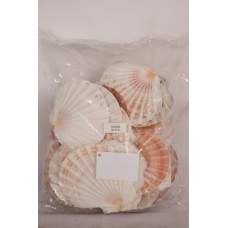 МИДА FLAT SCALLOP 3.5-5