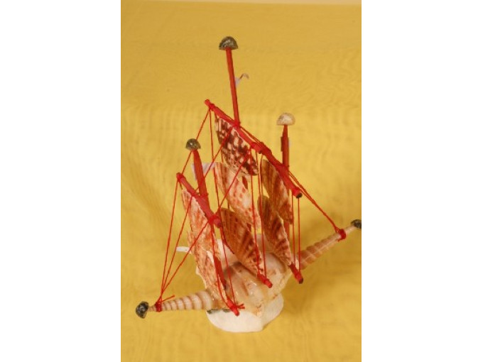 КОРАБ МИДИ LENTIGIOUS И РАПАНИ H25.4 СМ 371-8