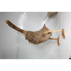 ПАТКА 60 СМ КОРЕНИ ОТ ПАЛМОВО ДЪРВО